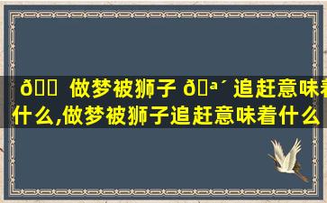 🐠 做梦被狮子 🪴 追赶意味着什么,做梦被狮子追赶意味着什么怎么解梦